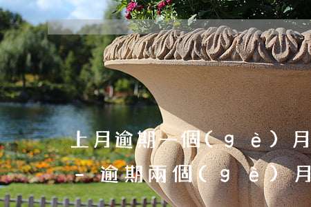 上月逾期一個(gè)月能不能辦理信用卡-逾期兩個(gè)月能不能辦信用卡
