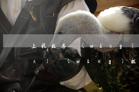 上杭租房網(wǎng)(杭州房產(chǎn)網(wǎng)租房信息)