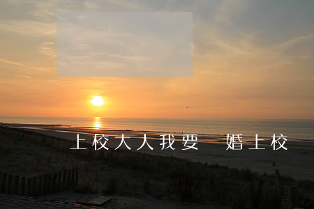 上校大人我要離婚(上校結(jié)婚吧在線閱讀)