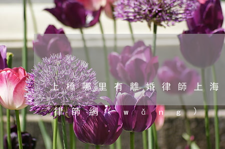 上橋哪里有離婚律師(上海專業(yè)離婚律師網(wǎng))