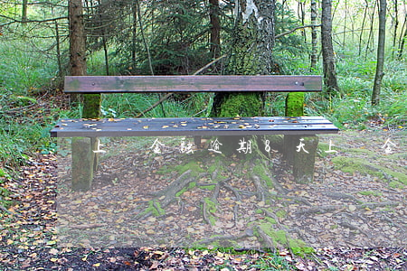 上氣金融逾期8天(上氣金融逾期8天)