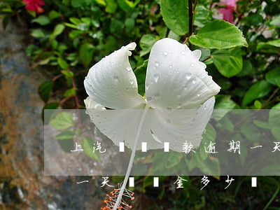 上汽財務貸款逾期一天(上汽通用金融逾期了一天違約金多少錢)