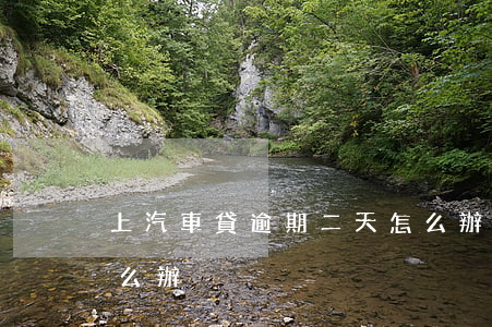 上汽車貸逾期二天怎么辦(車貸逾期了兩天怎么辦)