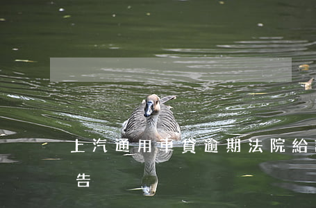 上汽通用車貸逾期法院給訴訟書(車貸逾期被告)