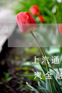上汽通用金融逾期了三天有沒有什么影響（上汽金融逾期一個月會怎么樣）