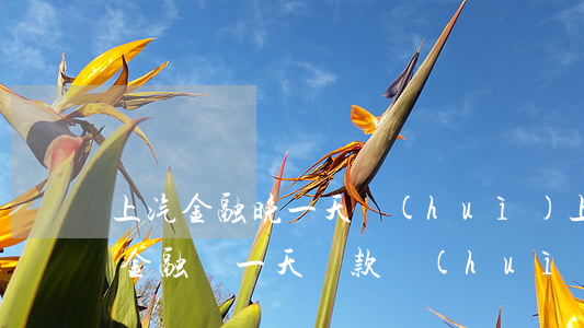 上汽金融晚一天會(huì)上征信嗎（上氣金融遲一天還款會(huì)逾期）