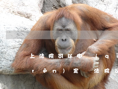 上法院可以申請(qǐng)事故重新認(rèn)定嗎(法院可以重新認(rèn)定事故責(zé)任嗎)