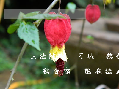 上法院家屬可以與被告人說(shuō)話嗎(被告家屬能在法庭發(fā)言嗎)