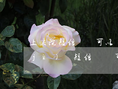 上法院短信記錄可以當(dāng)證據(jù)嗎(短信記錄可以作為法律證據(jù)嗎)