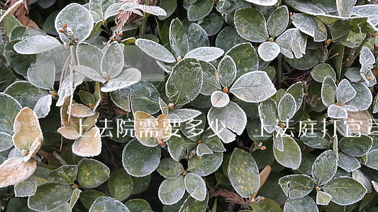上法院需要多少錢(上法庭打官司要多少錢)