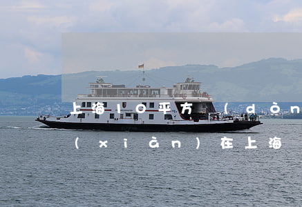上海10平方動(dòng)遷拿到多少(現(xiàn)在上海動(dòng)遷可以有多少錢)