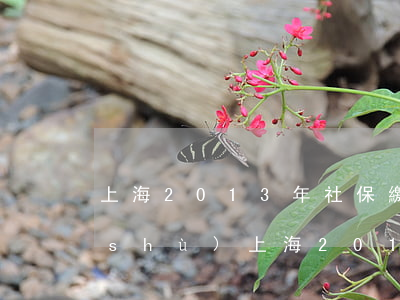 上海2013年社保繳費(fèi)基數(shù)(上海2013年社保繳費(fèi)基數(shù)表)