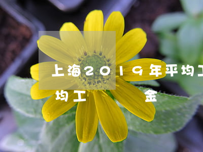 上海2019年平均工資(上海2019年平均工資納稅金額)