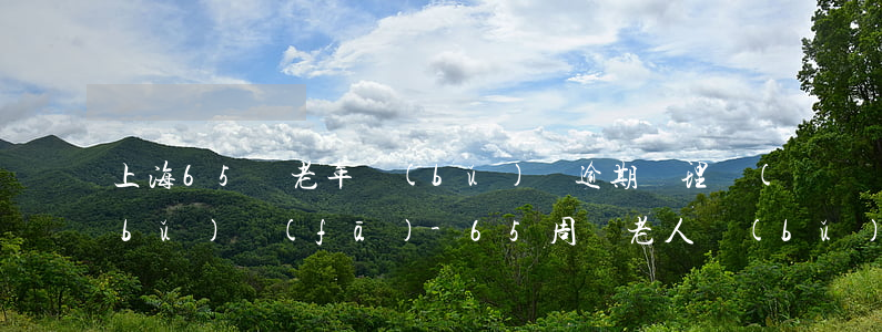 上海65歲老年補(bǔ)貼逾期辦理補(bǔ)發(fā)-65周歲老人補(bǔ)貼上海