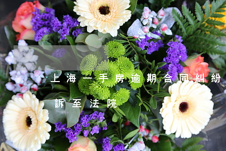 上海一手房逾期合同糾紛(二手房逾期交房起訴至法院)