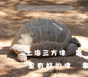 上海三方律師事務(wù)所怎么樣(上海哪里有好的律師事務(wù)所)