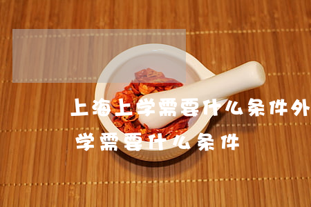 上海上学需要什么条件(外地人孩子在上海上学需要什么条件)