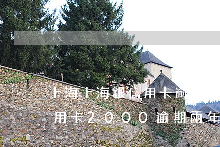 上海上海銀信用卡逾期5天(浦發(fā)信用卡2000逾期兩年)