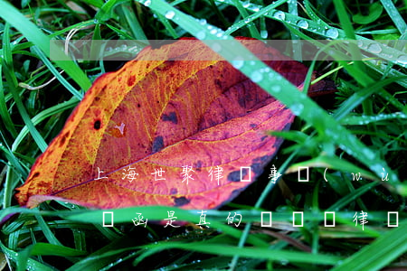 上海世聚律師事務(wù)所發(fā)律師函是真的嗎(匯眾律師事務(wù)所)