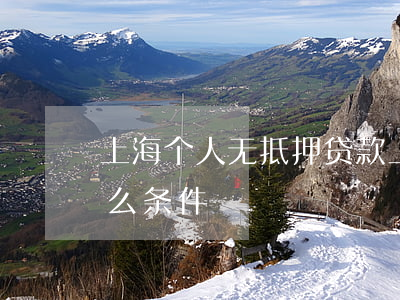 上海个人无抵押贷款(上海无抵押贷款需要什么条件)
