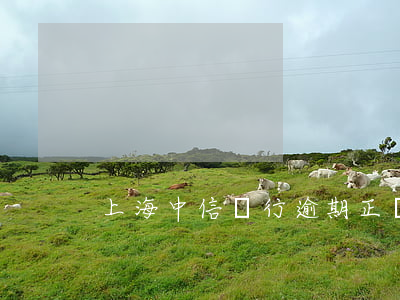 上海中信銀行逾期正確處理方案-