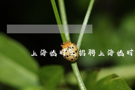 上海临时工招聘(上海临时工招聘的地方)