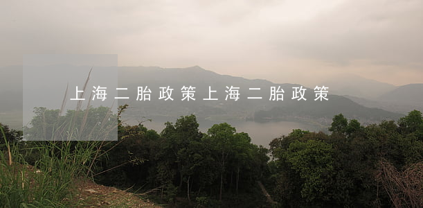 上海二胎政策(上海二胎政策)
