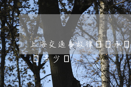 上海交通事故律師費承擔(上海合同糾紛律師費多少錢)