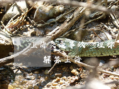 上海交通事故處理律師(交通事故律師咨詢在線解答上海)