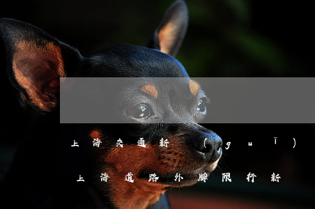 上海交通新規(guī)對外牌逾期違法-上海道路外牌限行新規(guī)