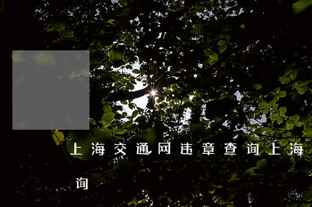 上海交通网违章查询(上海公安交警网违章查询)