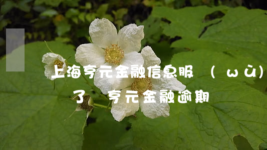 上海亨元金融信息服務(wù)有限公司倒閉了嗎（亨元金融逾期）