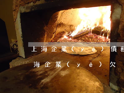 上海企業(yè)債務(wù)逾期方式 上海企業(yè)欠稅查詢