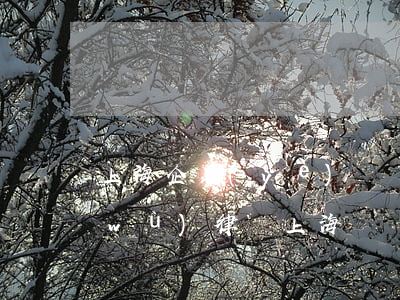 上海企業(yè)債權(quán)債務(wù)律師(上海債務(wù)糾紛律師費(fèi)用標(biāo)準(zhǔn))