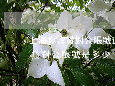 上海你我貸對公賬號還款靠譜嗎-上海你我貸對公賬號是多少