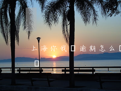 上海你我貸逾期怎么辦(上海你我貸逾期怎么辦)