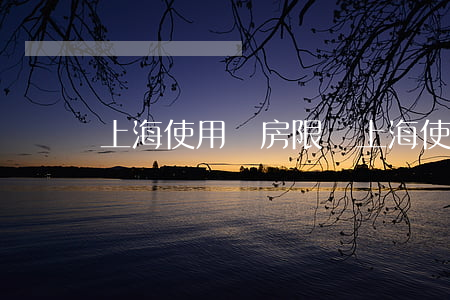 上海使用權房限購(上海使用權房限購跌)