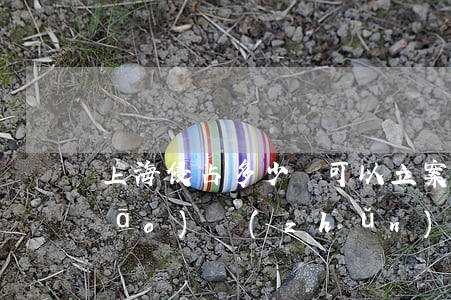 上海侵占多少錢可以立案(侵占立案標(biāo)準(zhǔn)是多少)