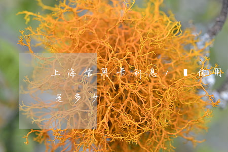 上海信用卡利息1萬(信用卡10000利息是多少)