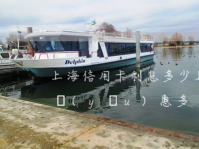 上海信用卡利息多少(上海哪個銀行的信用卡優(yōu)惠多)