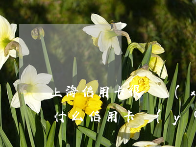 上海信用卡很難協(xié)商嗎-上海辦什么信用卡優(yōu)惠多