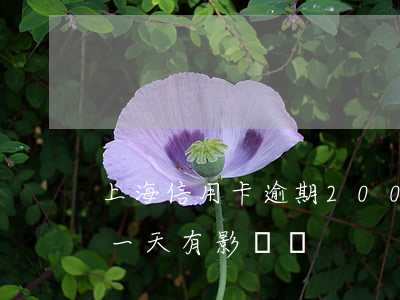 上海信用卡逾期2000-上海信用卡逾期一天有影響嗎