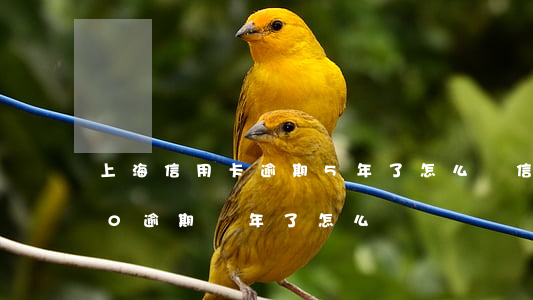 上海信用卡逾期5年了怎么辦 信用卡5000逾期兩年了怎么辦