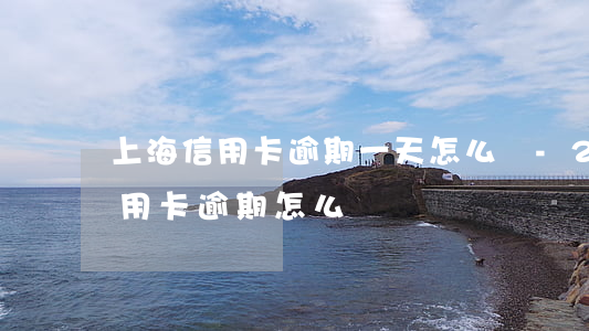 上海信用卡逾期一天怎么辦-2017年信用卡逾期怎么辦