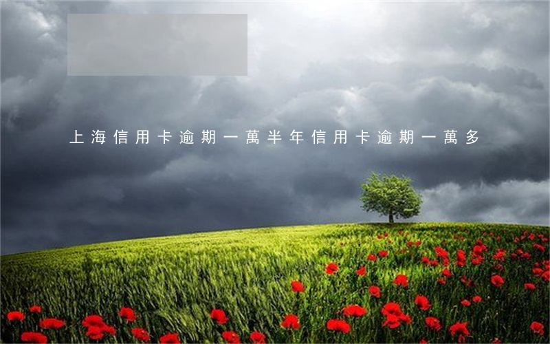 上海信用卡逾期一萬半年(信用卡逾期一萬多)