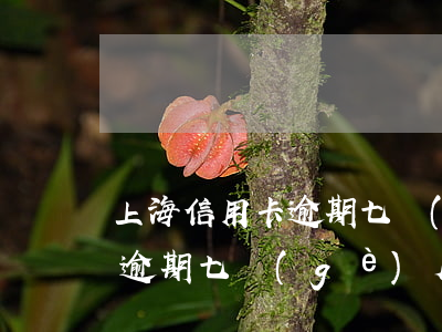 上海信用卡逾期七個(gè)月(上海信用卡逾期七個(gè)月會(huì)怎么樣)
