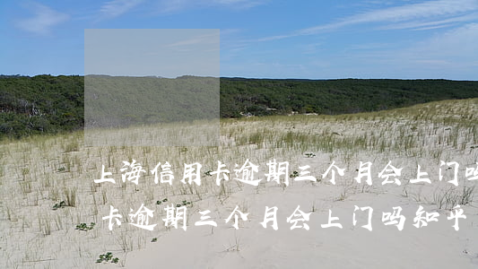 上海信用卡逾期三个月会上门吗-上海信用卡逾期三个月会上门吗知乎