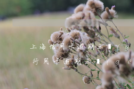 上海信用卡逾期三個(gè)月3000元(行用卡逾期三個(gè)月)