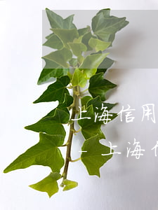 上海信用卡逾期三個(gè)月可以分期嗎-上海信用卡逾期三個(gè)月可以分期嗎