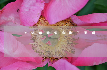 上海信用卡 逾期三天(延遲三天還信用卡)